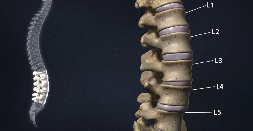 Spine Care in Dallas, TX: What Makes a Top Spine Doctor Stand Out?