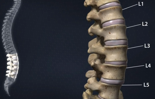 Spine Care in Dallas, TX: What Makes a Top Spine Doctor Stand Out?